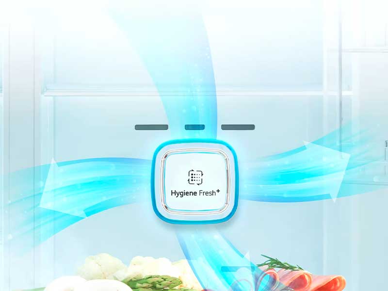 سیستم هایژن فرش یخچال الجی مدل X259